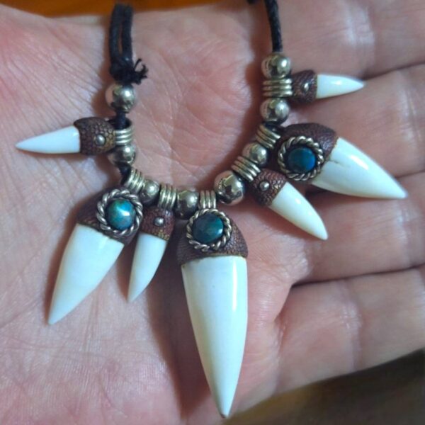 crocodile tooth necklace krazybear crocodile tooth necklace krazybear