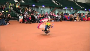 awesome tiny tot fancy dancer jaymison kodiak hill