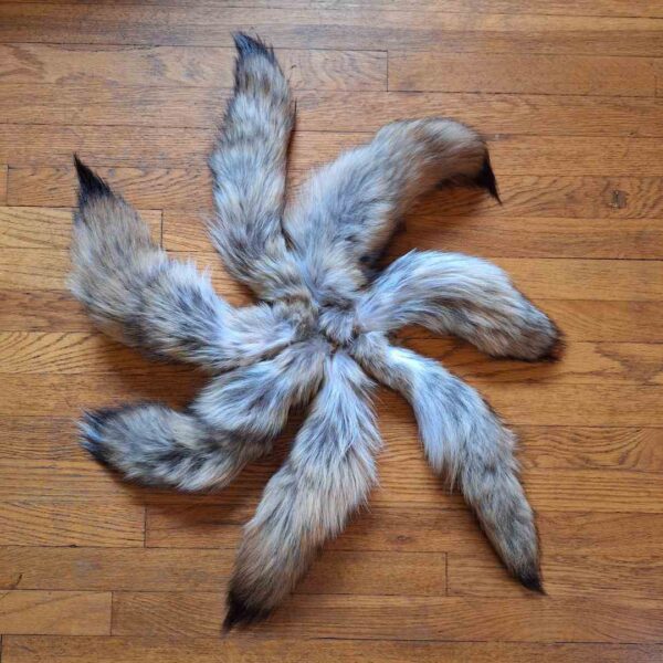 ww2QqgBU krazy bear hand select coyote tails garment tanned 00001.jpg