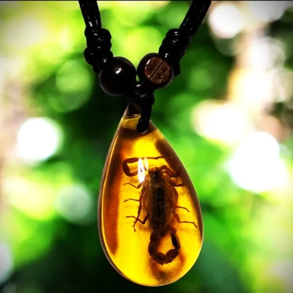 Genuine Scorpion In Faux Amber On Adjustable Black Cord Necklace