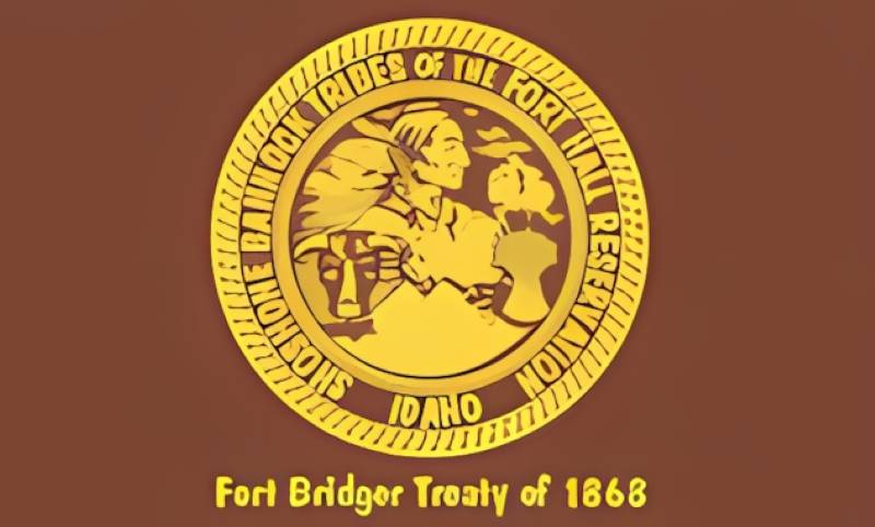 shoshone bannock tribe flag krazy bear