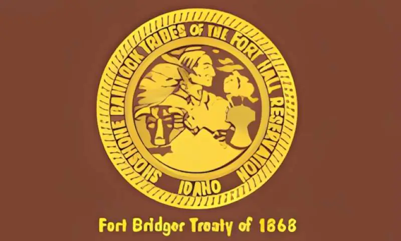 shoshone bannock tribe flag krazy bear