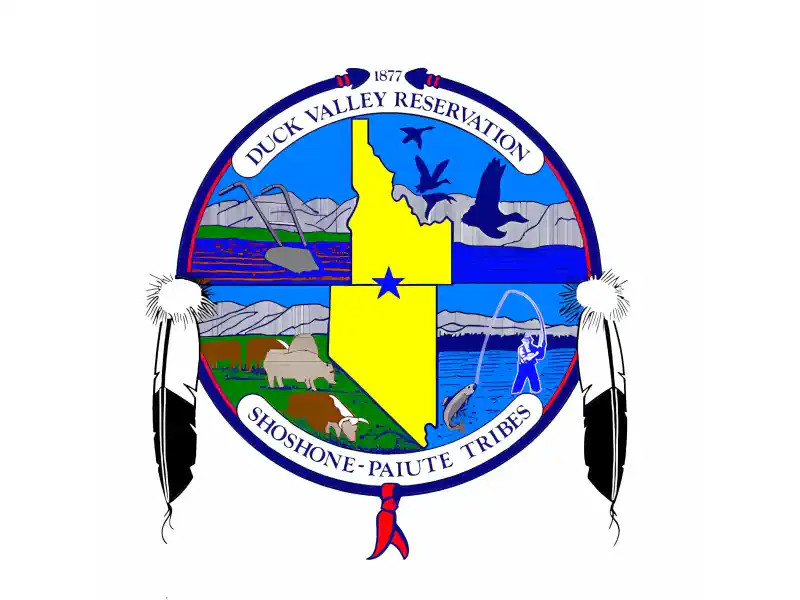 duck valley shoshone paiutes tribal flag krazy bear