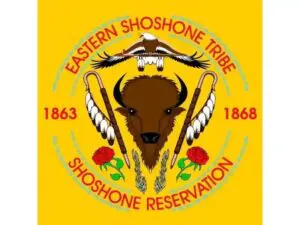 eastern shoshone tribal flag krazy bear