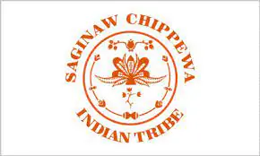 saginaw chippewa tribe krazy bear