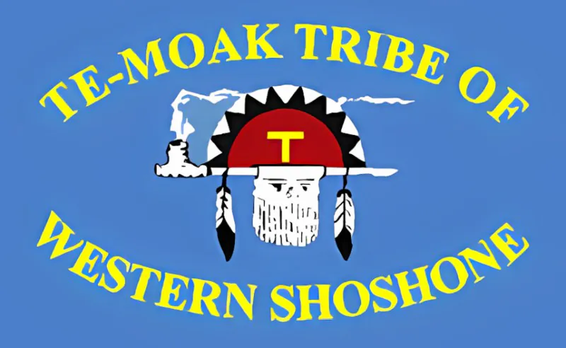 te moak tribe of western shoshone krazy bear