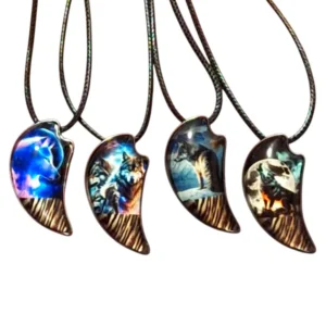 Claw Shaped Pendant with Wolf Image Necklace on Black Cord
