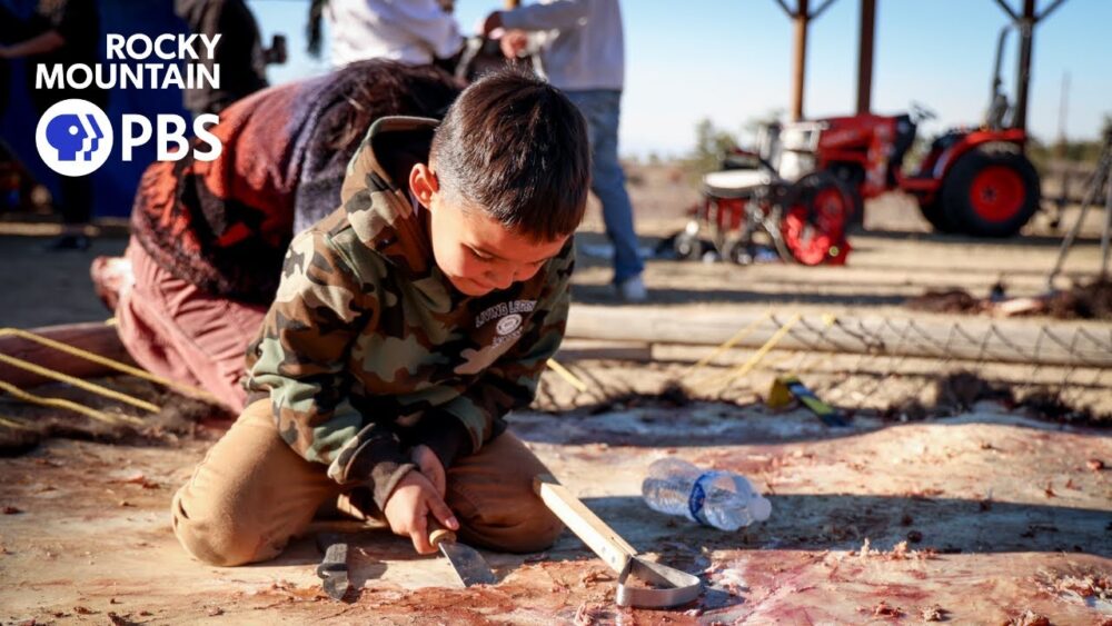Reconnecting with Heritage: Indigenous Communities’ Journey of Bison Harvesting