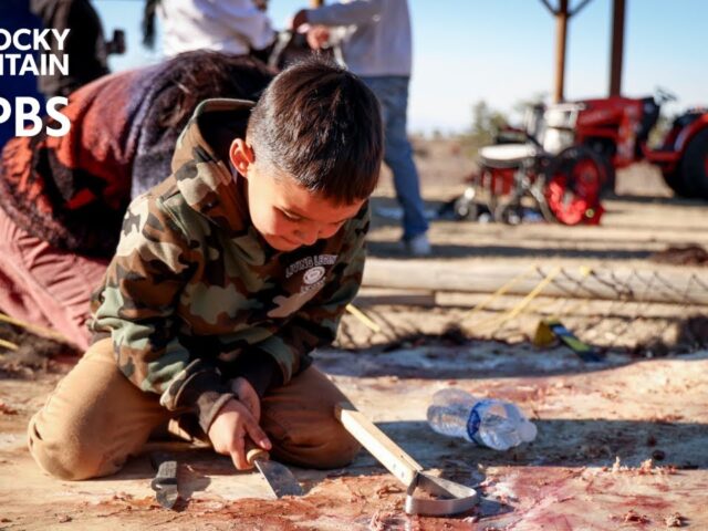 Reconnecting with Heritage: Indigenous Communities’ Journey of Bison Harvesting