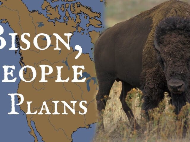 The Vital Connection Between Bison, Plains People, and the North American Wilderness